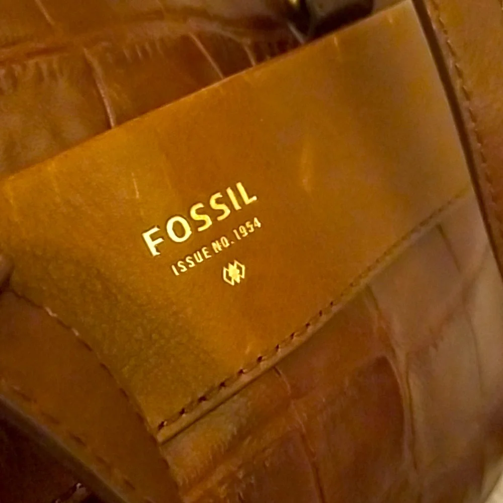 Fossil reddish brown